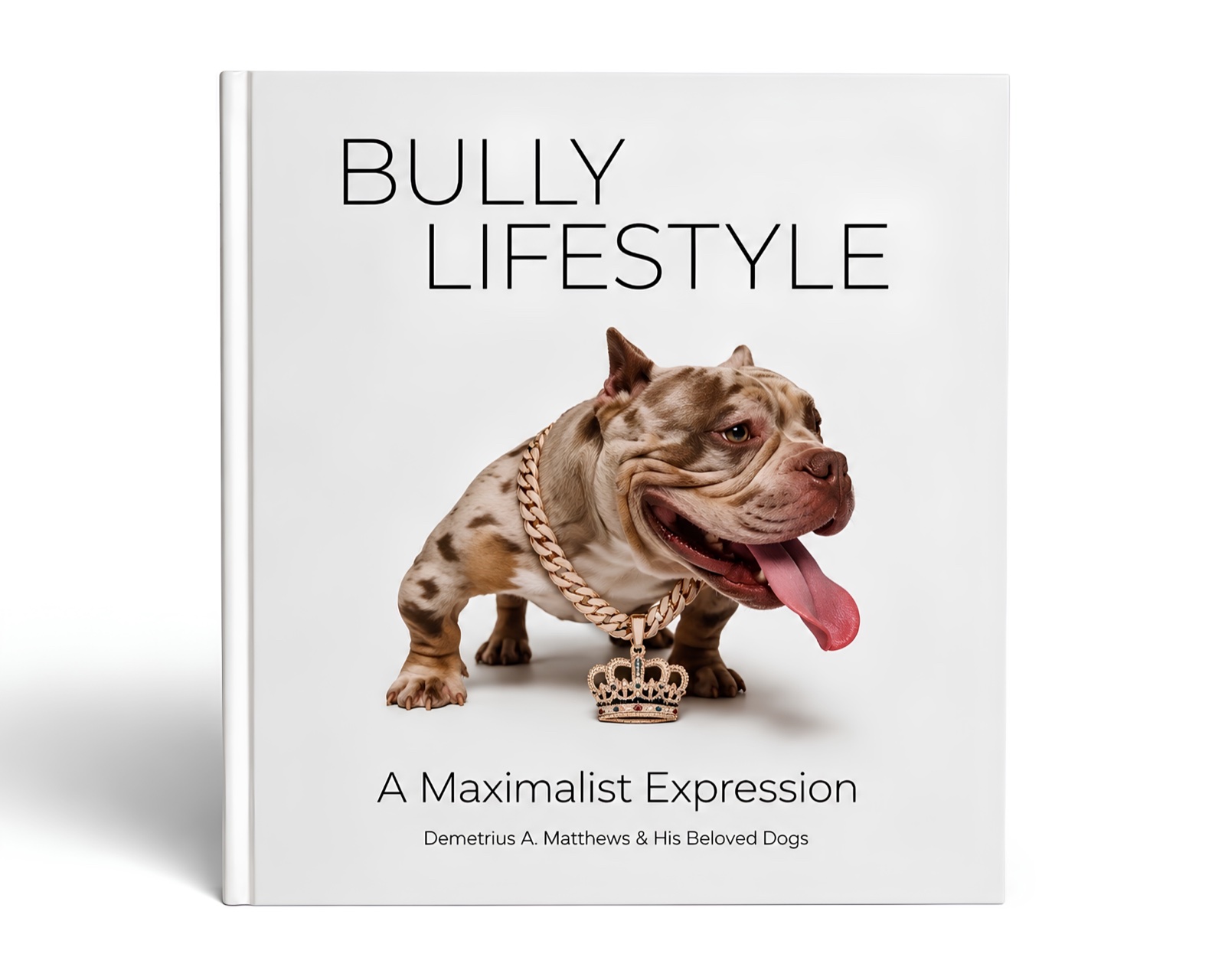 Bully Lifestyle: A Maximalist Expression, front cover